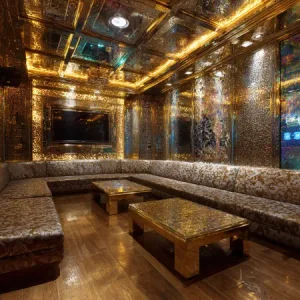 Illustrative karaoke interior 17